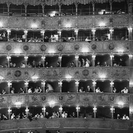 La Fenice by Erich Auerbach