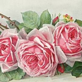 La France Roses by Paul De Longpre