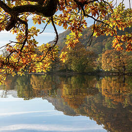 Lake & Trees With Autumn Colors by Sebastian Wasek
