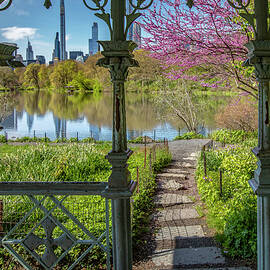 Lake, Central Park, Nyc by Claudia Uripos