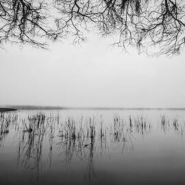 Lake Tarpon by Joe Leone