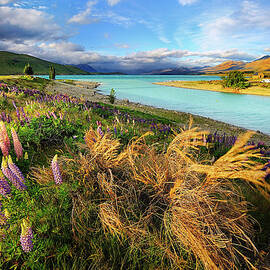 Lake Tekapo by Atomiczen