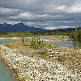 Landscape At Athabasca River, Jasper National Park, Rocky Mountains, Alberta, Canada by Brigitte Merz