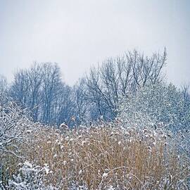 Landscape In Snow by Richard Felber