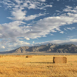 Landscape With Hay Bales by Heeb Photos