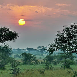 Landscape With Sunrise In Serengeti National Park by Jurgen Ritterbach