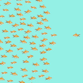 Large Group Of Goldfish by Pm Images