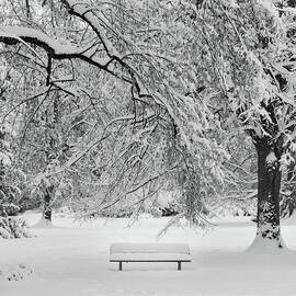 Last Break by Philippe Sainte-laudy Photography