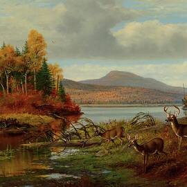 Late Autumn, Long Lake, Hamilton Co., New York, Adirondacks by Arthur Fitzwilliam Tait