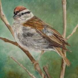 Let Us See What Comes Next by Angeles M Pomata