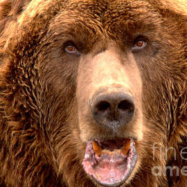 Like OMG, DId You See That Tourist by Adam Jewell