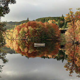 Loch Faskally Autumn Reflection by Grant Glendinning
