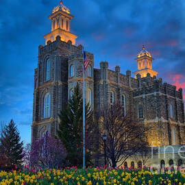 Logan Temple Pink Sunset by Adam Jewell
