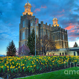 Logan Temple Sunset by Adam Jewell
