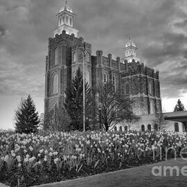 Logan Temple Sunset Black And White by Adam Jewell