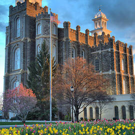 Logan Temple Sunset Portrait by Adam Jewell
