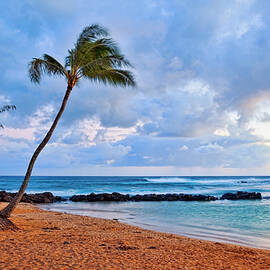 Lone Palm by Kelley King