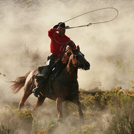 Lone Rider At The Gallop Throwing Lassoo by Worldwideimages