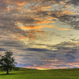 Lonley Tree by Matt Champlin