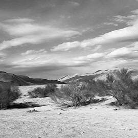 Lost In The High Desert by Joe Schofield