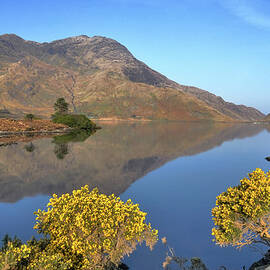 Lough Fee, Connemara, Ireland by Photography By Robert Riddell