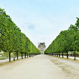 Louvre In  Paris by Nikada