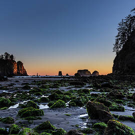 Low Tide by Ed Clark