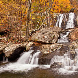 Lower White Oak Canyon Falls by Photography By Deb Snelson