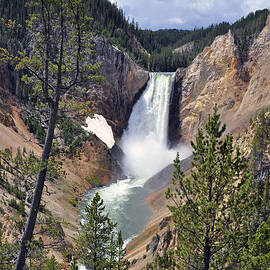 LOWER YELLOWSTONE FALLS by Randall Dill