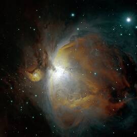 M42 Nebula In Orion by Stocktrek Images