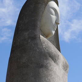 Madonna by Richard Reeve