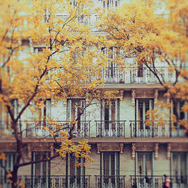 Madrid Facade In Late Autumn by Julia Davila-lampe