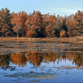 Maine, Acadia National Park, Pond by Heeb Photos