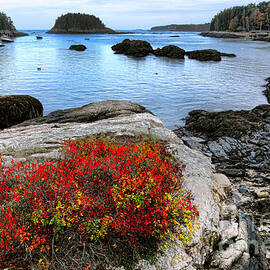 Maine Coast Autumn Colors by Olivier Le Queinec