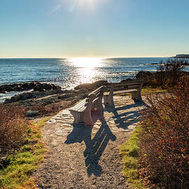 Maine, Ogunquit, Benches Along Marginal Way Trail by Andres Uribe