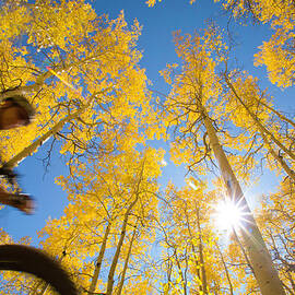Man Ride by David Epperson
