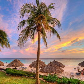 Manchebo Beach, Aruba by Werner Bertsch
