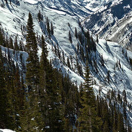 Maroon Bells Winter Portrait by Adam Jewell