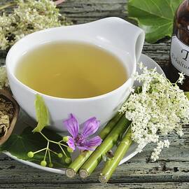 Medicinal Tea For Fighting Colds And Flu by Otmar Diez