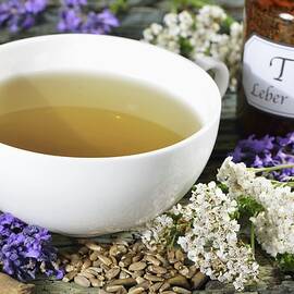 Medicinal Tea For The Liver And Gall Bladder by Otmar Diez