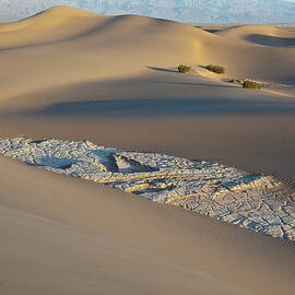 Mesquite Flat Sand Dunes, Cracked Clay And Creosote Bushes, Death Valley National Park, California, Usa, America by Wilfried Feder