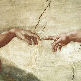 Michelangelo-creatofadam by Portfolio Arts Group