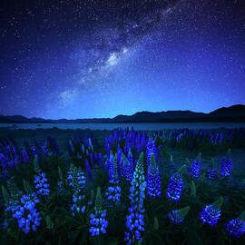 Midnight Blue by Atomiczen