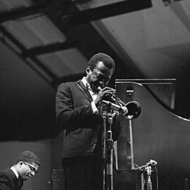 Miles Davis At Newport by David Redfern