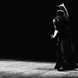 Modern Flamenco by T-immagini