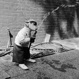 Monkey Hose by Vecchio