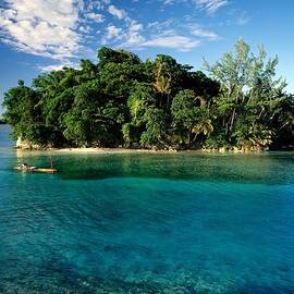 Monkey Island, San San Bay, Jamaica by Hp Huber