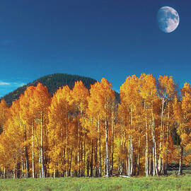 Moon Over A Landscape, Monument Valley by Medioimages photodisc