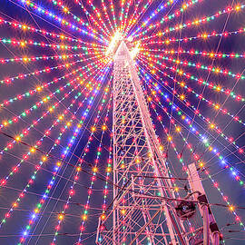Moonlight Tower Tree by Slow Fuse Photography