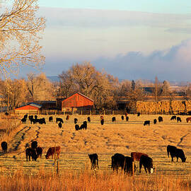 Morning Farm Scene by Beklaus